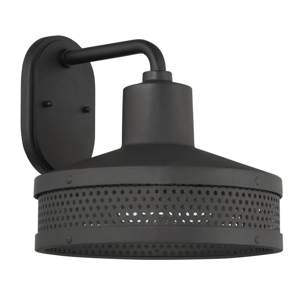 Abalone Point - 12" 1 Light Outdoor Wall Mount