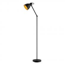 Eglo 203448A - 1L Floor Lamp