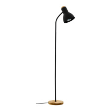 Eglo 205633A - 1L Floor Lamp