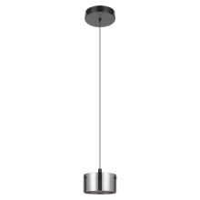 Eglo 206011A - LED Pendant Light