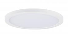 Maxim 57592WTWT - Chip-Flush Mount