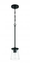 Craftmade 60491-FB - 1 Light Mini Pendant