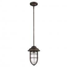Acclaim Lighting 1706ORB - Dylan 1-Light Oil-Rubbed Bronze Convertible Mini-Pendant