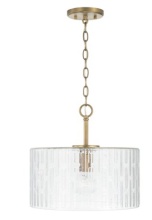 Capital 241311AD - 1 Light Semi-Flush / Pendant