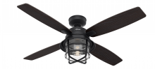 Hunter 50391 - Hunter 52 inch Port Royale Natural Black Iron Damp Rated Ceiling Fan with LED Lt Kit